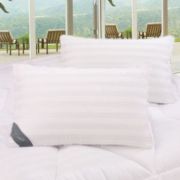 Silk pillow with Cotton Stripe Shell