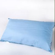Bamboo Charcoal pillow with dyed cotton plain shell