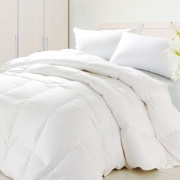 Milk fiber filled quilt with cotton shell