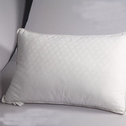 Ingeo fiber (PLA fiber) pillow with cotton Jacquard shell